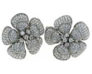 ������, ������� 925