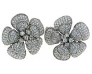 ������, ������� 925