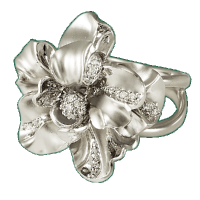 ������, ������ 750